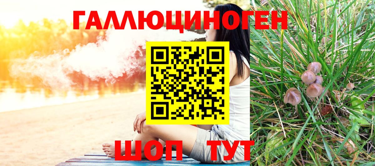 Галлюциногенные грибы Magic Shrooms  где продают наркотики  Вход с VPN  Северодвинск  Псилоцибиновые грибы Psilocybe 